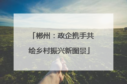 郴州：政企携手共绘乡村振兴新图景