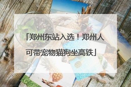 郑州东站入选！郑州人可带宠物猫狗坐高铁