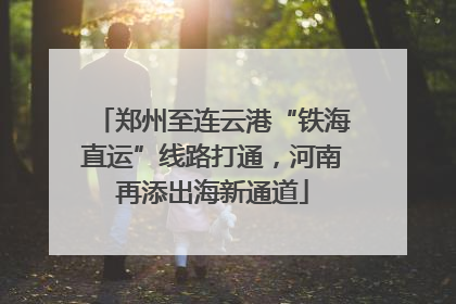 郑州至连云港“铁海直运”线路打通，河南再添出海新通道