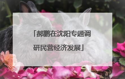 郝鹏在沈阳专题调研民营经济发展