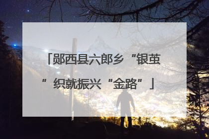 郧西县六郎乡“银茧”织就振兴“金路”