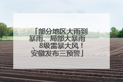 部分地区大雨到暴雨、局部大暴雨、8级雷暴大风！安徽发布三预警