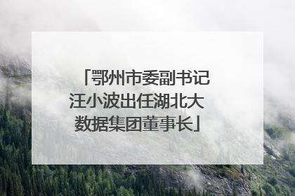 鄂州市委副书记汪小波出任湖北大数据集团董事长