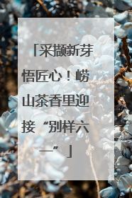 采撷新芽悟匠心！崂山茶香里迎接“别样六一”