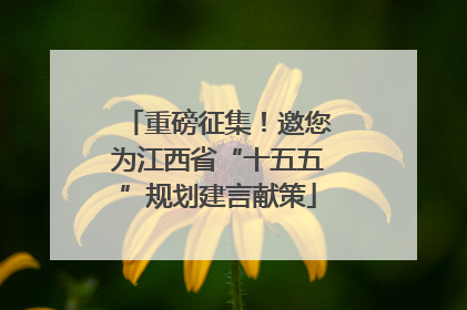 重磅征集！邀您为江西省“十五五”规划建言献策