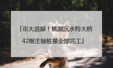 重大进展！桃源沅水特大桥42根主墩桩基全部完工