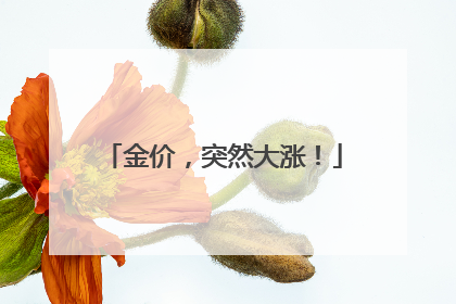 金价，突然大涨！