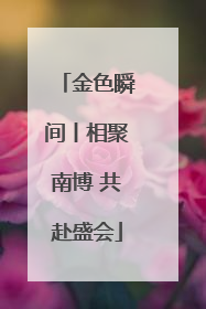 金色瞬间丨相聚南博 共赴盛会