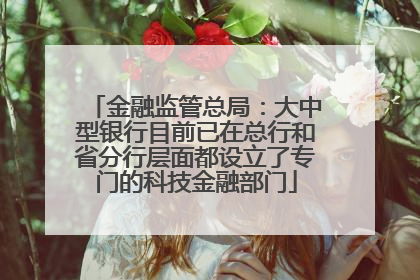 金融监管总局：大中型银行目前已在总行和省分行层面都设立了专门的科技金融部门