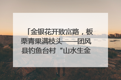 金银花开致富路，板栗青果满枝头——团风县钓鱼台村“山水生金”谱写共富新篇章
