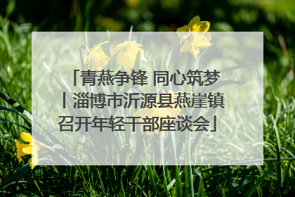 青燕争锋 同心筑梦丨淄博市沂源县燕崖镇召开年轻干部座谈会
