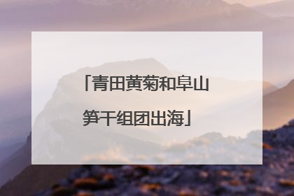 青田黄菊和阜山笋干组团出海