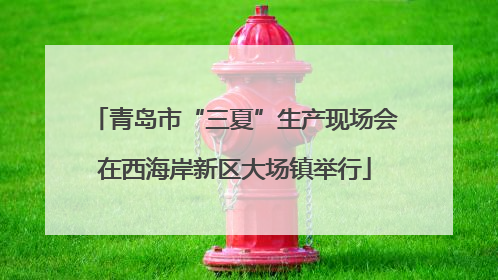 青岛市“三夏”生产现场会在西海岸新区大场镇举行