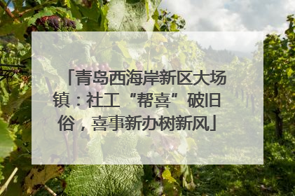 青岛西海岸新区大场镇：社工“帮喜”破旧俗，喜事新办树新风