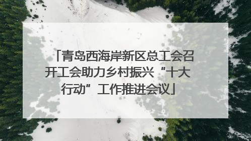 青岛西海岸新区总工会召开工会助力乡村振兴“十大行动”工作推进会议