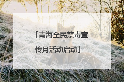 青海全民禁毒宣传月活动启动