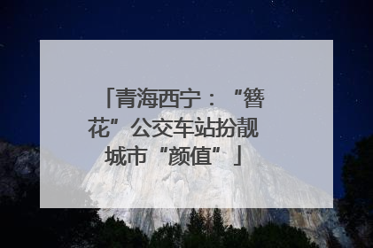 青海西宁：“簪花”公交车站扮靓城市“颜值”