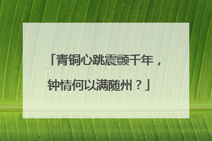 青铜心跳震颤千年，钟情何以满随州？