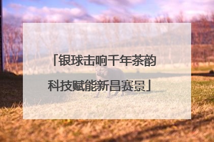 银球击响千年茶韵 科技赋能新昌赛景