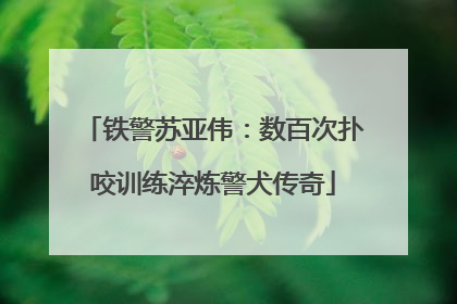 铁警苏亚伟：数百次扑咬训练淬炼警犬传奇