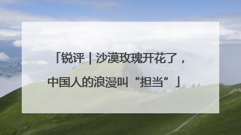 锐评｜沙漠玫瑰开花了，中国人的浪漫叫“担当”