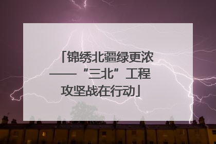 锦绣北疆绿更浓——“三北”工程攻坚战在行动