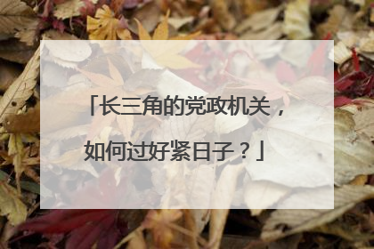 长三角的党政机关，如何过好紧日子？