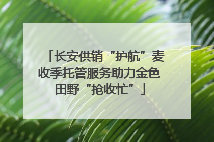 长安供销“护航”麦收季托管服务助力金色田野“抢收忙”