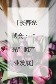 长春光博会：“光”照产业发展