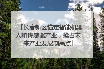 长春新区锚定智能机器人和传感器产业，抢占未来产业发展制高点