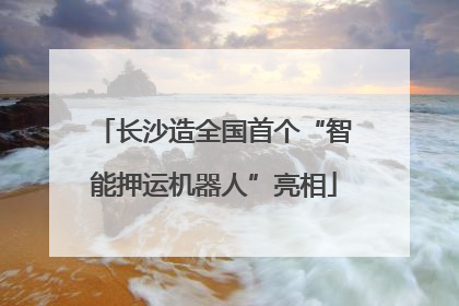 长沙造全国首个“智能押运机器人”亮相