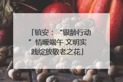 镇安：“银龄行动”情暖端午 文明实践绽放敬老之花