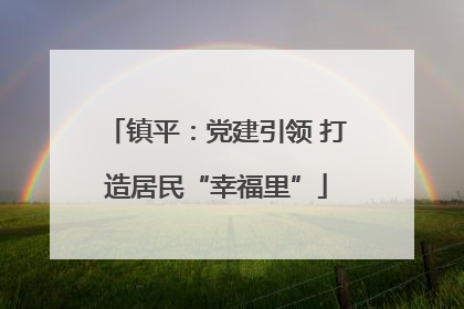 镇平：党建引领 打造居民“幸福里”