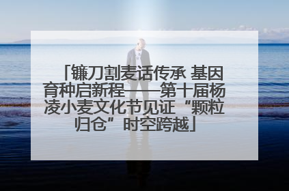 镰刀割麦话传承 基因育种启新程——第十届杨凌小麦文化节见证“颗粒归仓”时空跨越