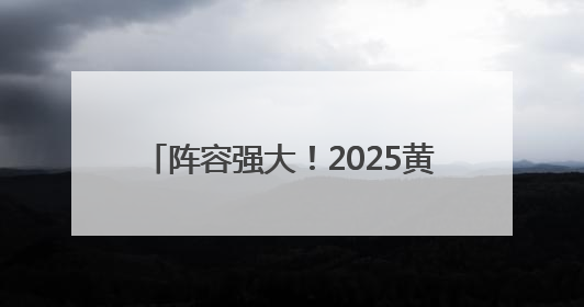 阵容强大！2025黄河口（东营）国际公路自行车赛本周末举行