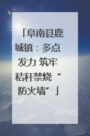 阜南县鹿城镇：多点发力 筑牢秸秆禁烧“防火墙”