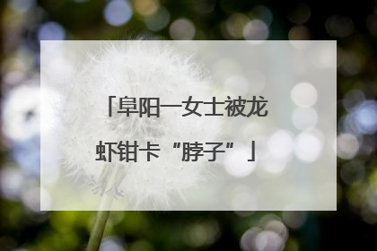 阜阳一女士被龙虾钳卡“脖子”