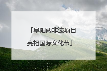 阜阳两非遗项目亮相国际文化节