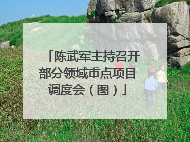 陈武军主持召开部分领域重点项目调度会（图）