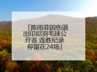 陈雨菲因伤退出印尼羽毛球公开赛 连胜纪录停留在24场