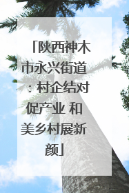 陕西神木市永兴街道：村企结对促产业 和美乡村展新颜