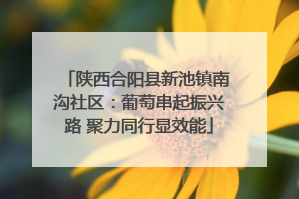 陕西合阳县新池镇南沟社区：葡萄串起振兴路 聚力同行显效能