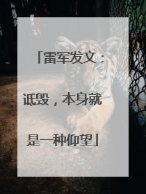 雷军发文：诋毁，本身就是一种仰望