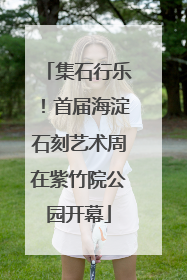集石行乐！首届海淀石刻艺术周在紫竹院公园开幕