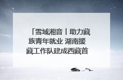 雪域湘音丨助力藏族青年就业 湖南援藏工作队建成西藏首个清洁能源装备园