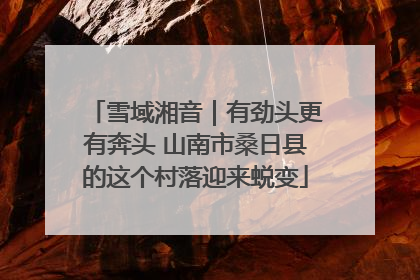 雪域湘音｜有劲头更有奔头 山南市桑日县的这个村落迎来蜕变