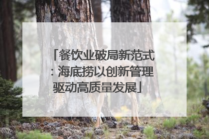 餐饮业破局新范式：海底捞以创新管理驱动高质量发展
