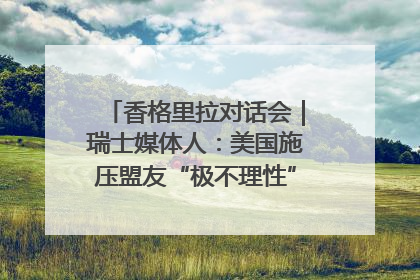 香格里拉对话会｜瑞士媒体人：美国施压盟友“极不理性” 欧洲国家无意与中国“脱钩断链”