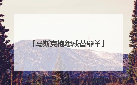 马斯克抱怨成替罪羊