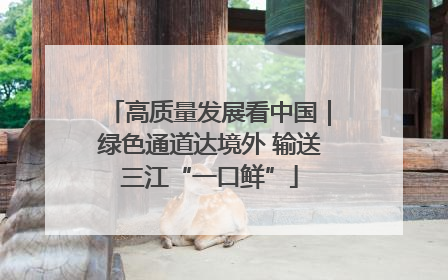 高质量发展看中国｜绿色通道达境外 输送三江“一口鲜”